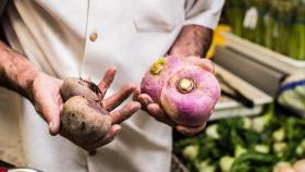 Власти РФ создадут механизм защиты от роста мировых цен